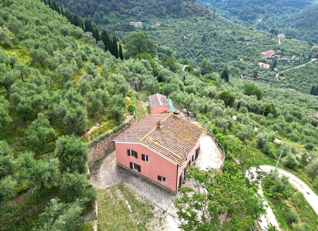 Olive House Tuscany - Zona Pisa Calci Extérieur photo