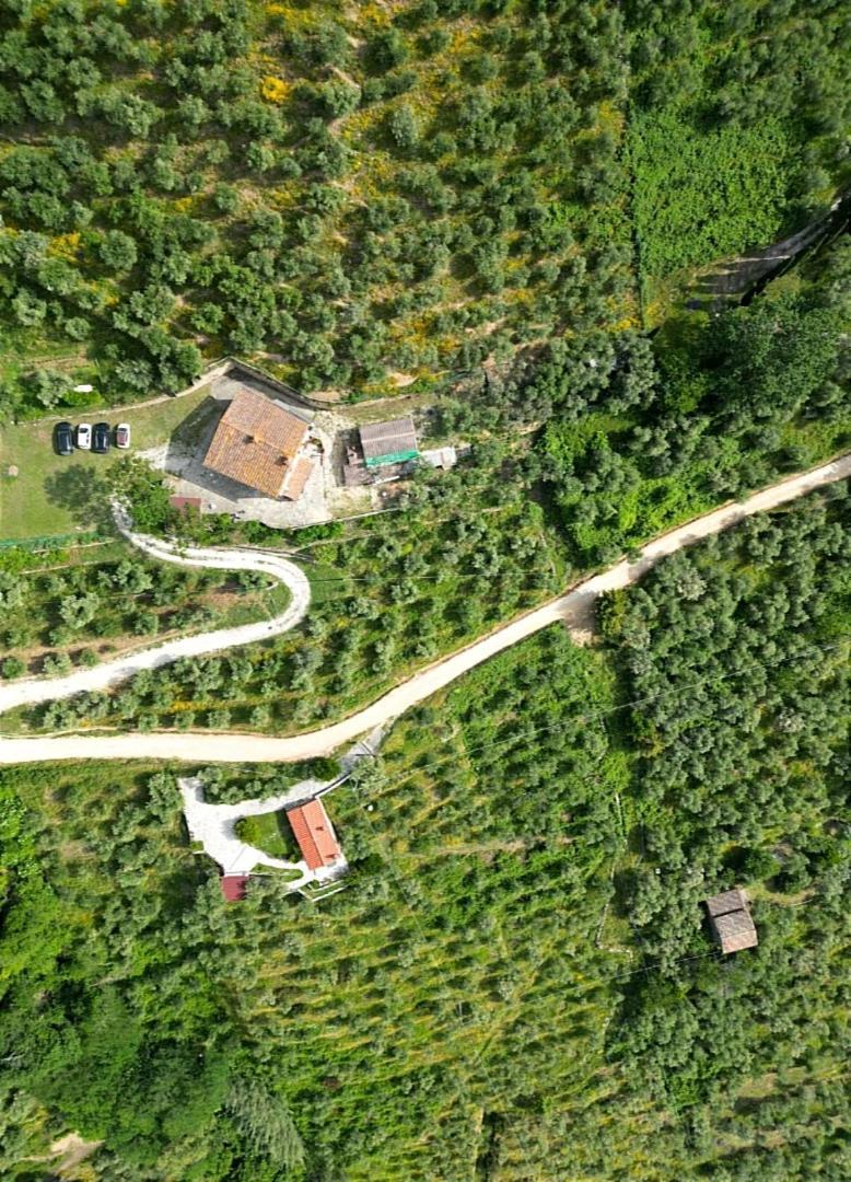Olive House Tuscany - Zona Pisa Calci Extérieur photo